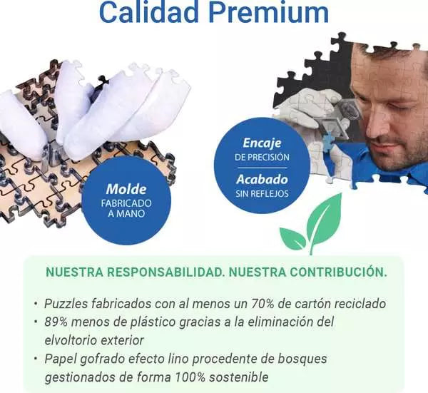 Puzzles para adultos 1000 piezas - Las Princesas de Disney - Disney Castles Elsa