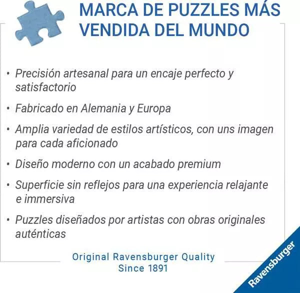 Puzzles para adultos 1000 piezas - Las Princesas de Disney - Disney Castles Elsa